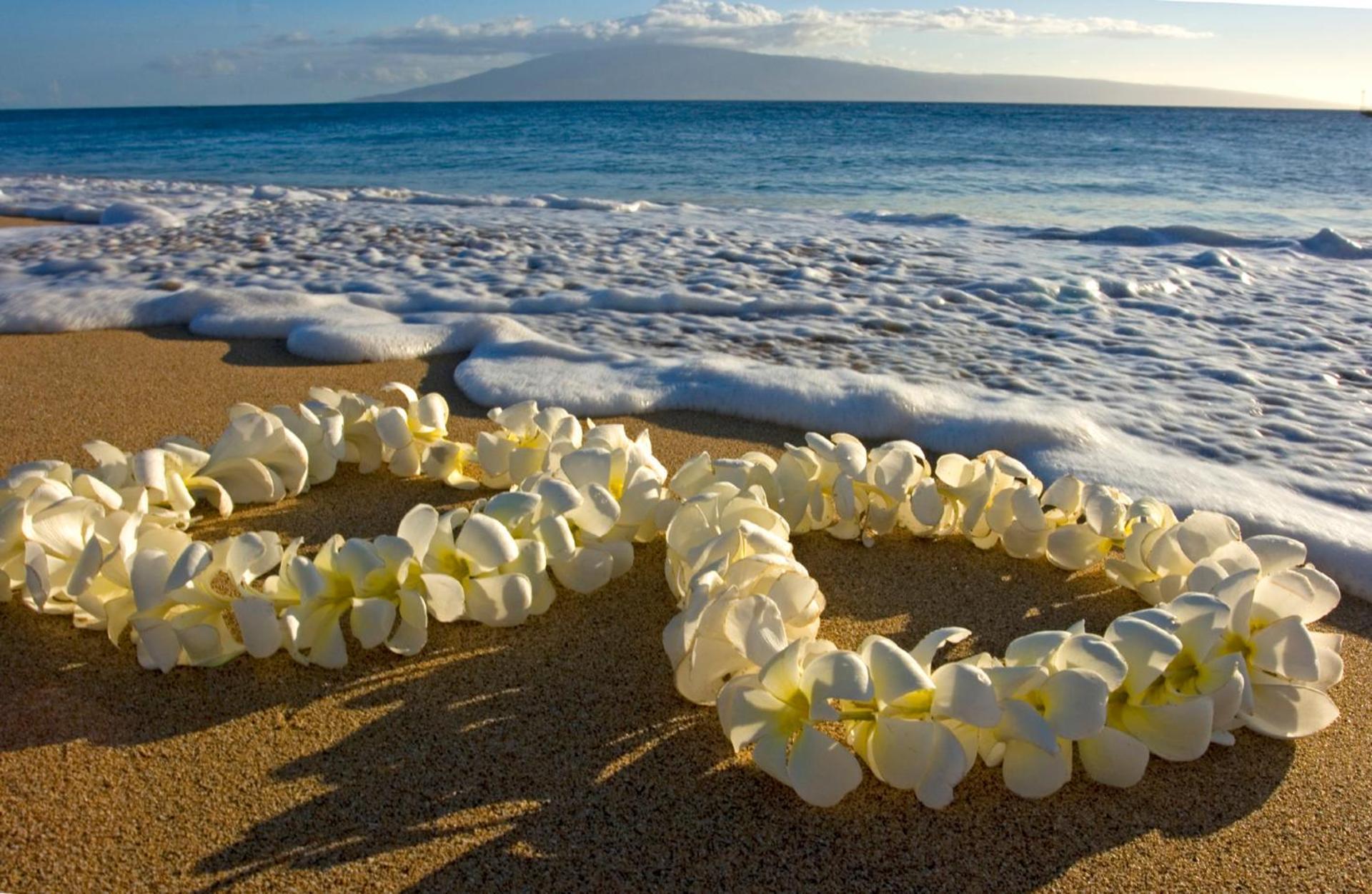 Renovated Ocean View Suite, Near Beach, Free Parking Honolulu Bagian luar foto