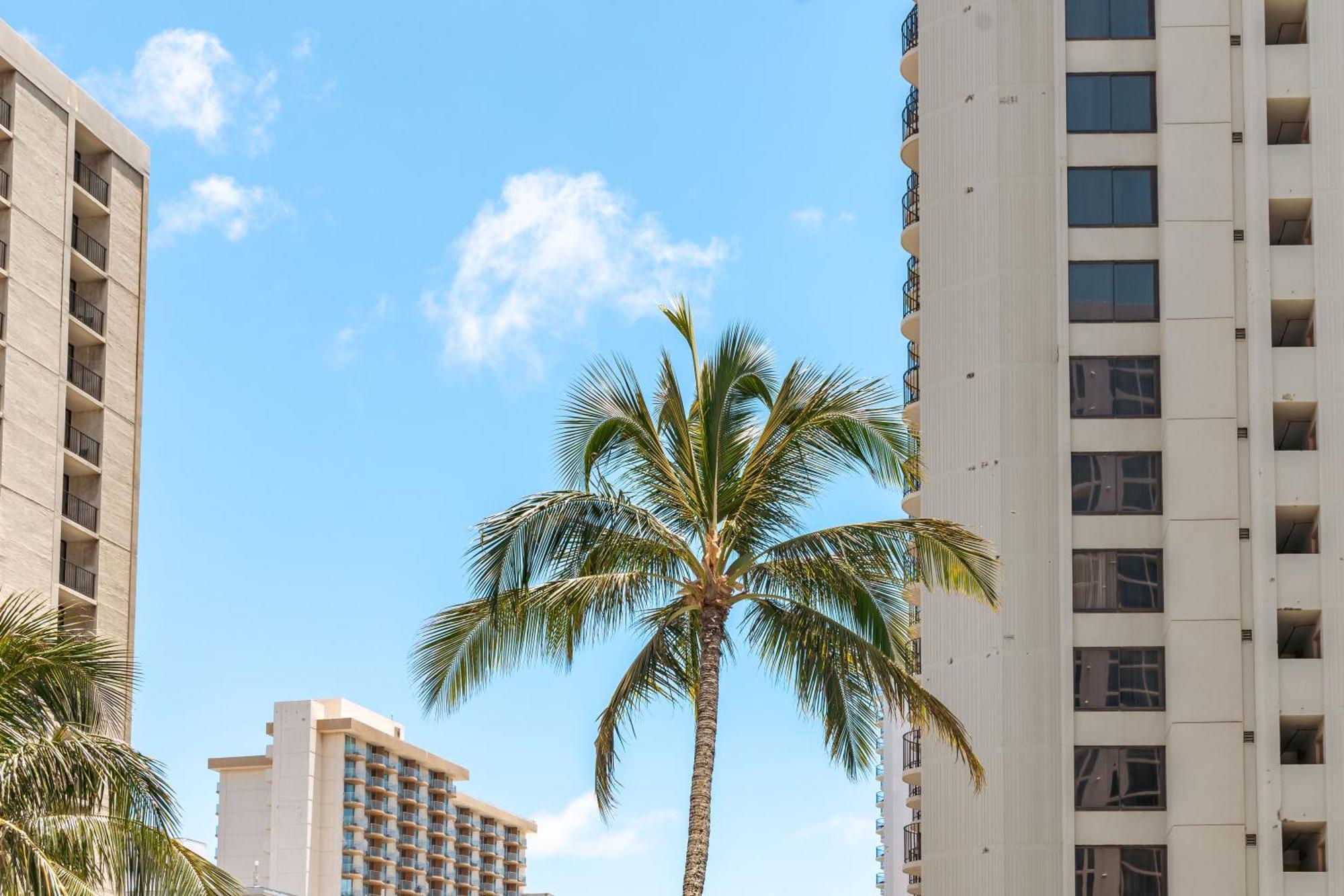 Renovated Ocean View Suite, Near Beach, Free Parking Honolulu Bagian luar foto