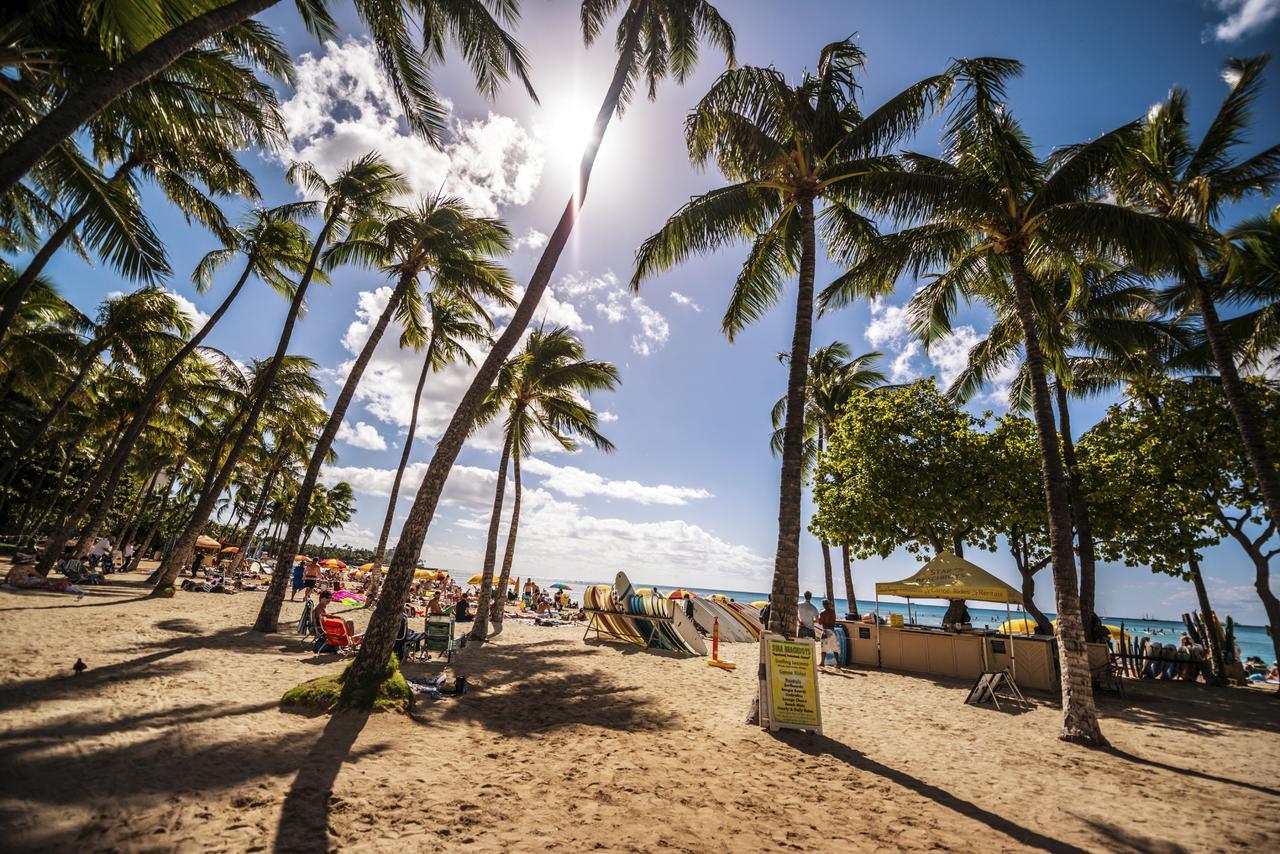 Renovated Ocean View Suite, Near Beach, Free Parking Honolulu Bagian luar foto